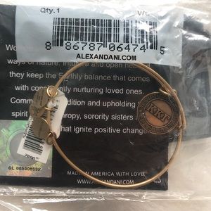 Alex and Ani KKΓ adjustable gold charm bracelet